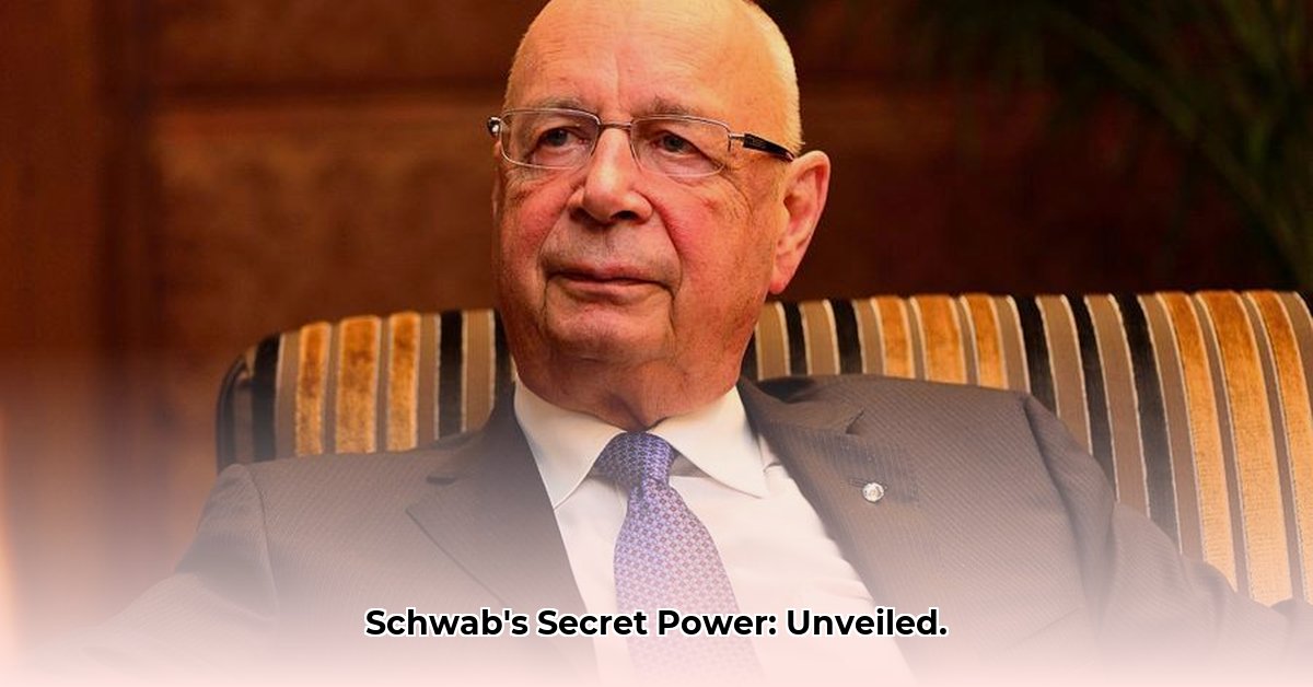 klaus-schwab-wealth-and-influence